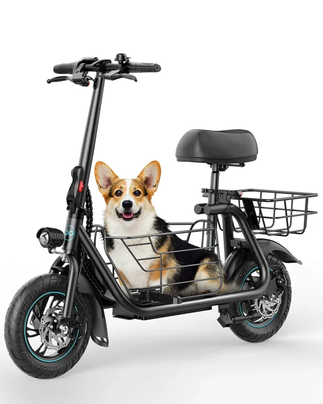 Gyroor C1S trottinette électrique avec siège 550W